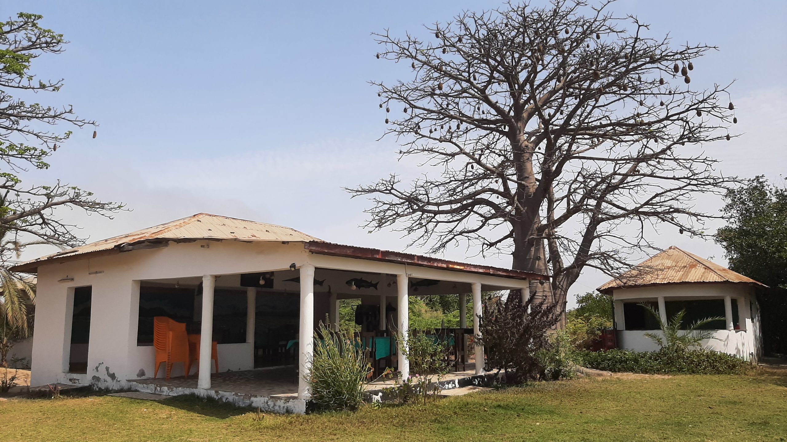 StalaRestaurant 2 scaled - THE GAMBIA: IN THE RIVER DELTA OF THE IDYLLIC ALLAHEIN-RIVER AND DIRECTLY ON THE ATLANTIC, THE STALA ADVENTURE LODGE BECKONS WITH 'PETS ❤️-WELCOME'