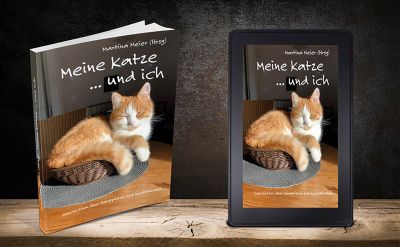 katzenbord - Buch "Meine Katze und ich" erzählt von echten Stubentigern und kleinen Wildkatzen